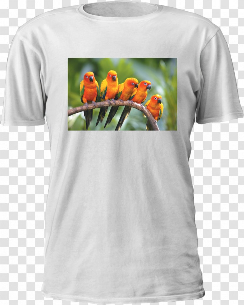 Printed T-shirt Hoodie Dye-sublimation Printer Printing - Tshirt Transparent PNG