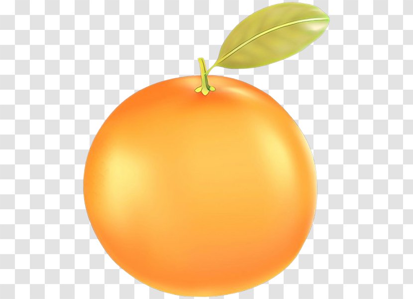 Orange - Citrus - Peach Transparent PNG