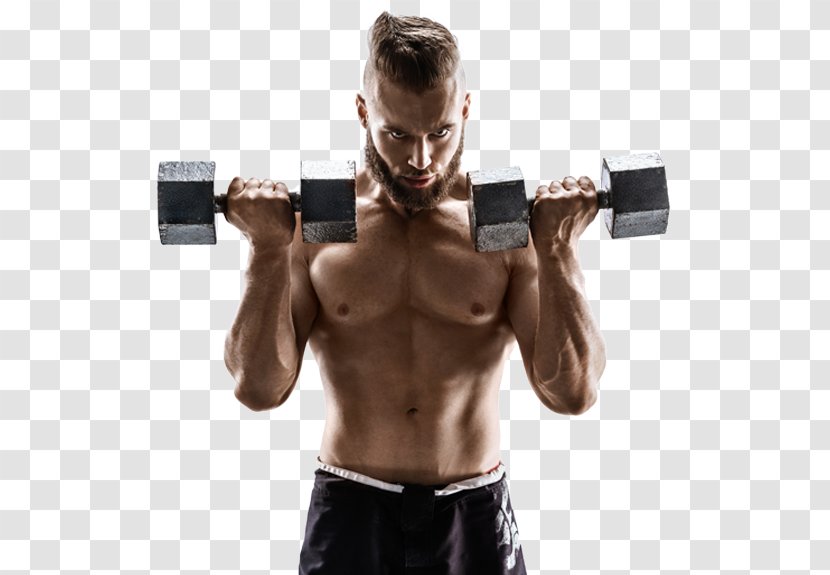Weight Training Exercise Biceps Physical Strength Shoulder - Cartoon - Dumbbell Transparent PNG
