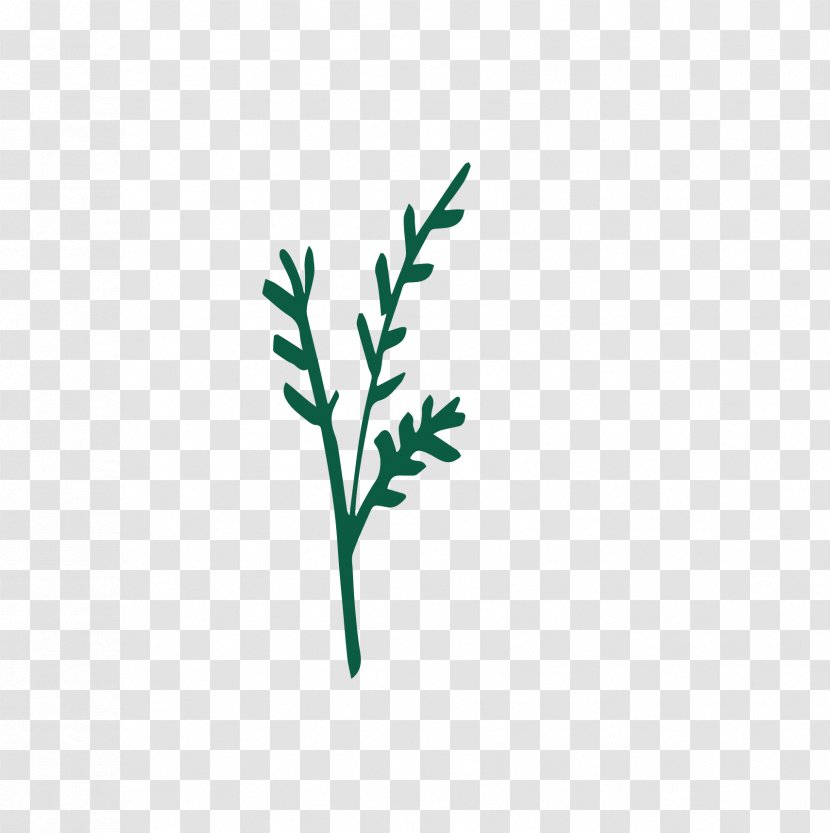 Twig Logo Plant Stem Leaf Font - Grass Transparent PNG