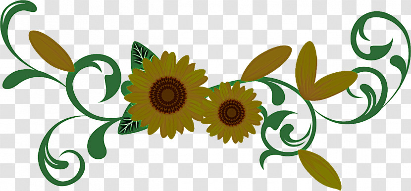 Flower Border Flower Background Floral Line Transparent PNG