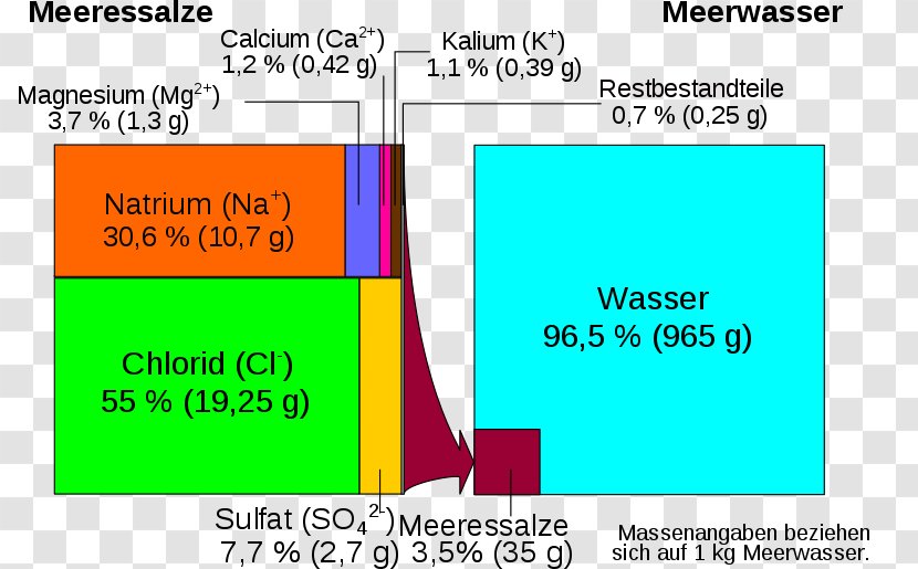 Seawater Evaporation Sodium Chloride Salinity Magnesium Sulfate - Text - Water Transparent PNG