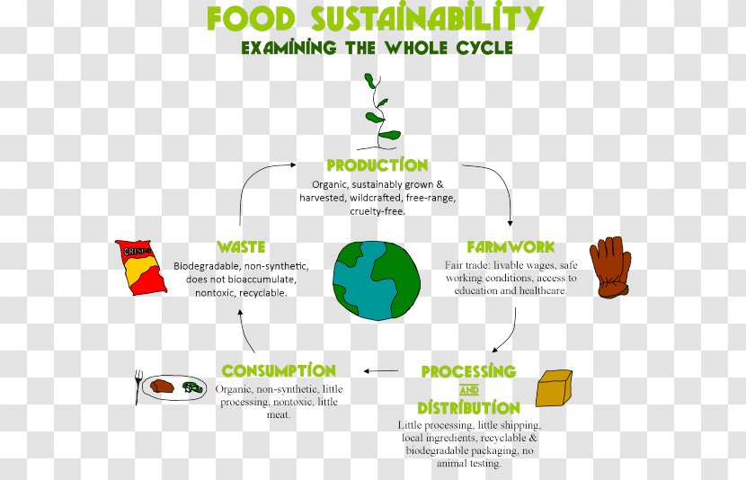 Organic Food Sustainability Systems Processing - Right To - Cooking Transparent PNG