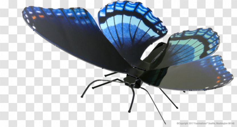 Butterfly Insect Limenitis Arthemis Pipevine Swallowtail Dutchman's Pipe - Butterflies And Moths Transparent PNG