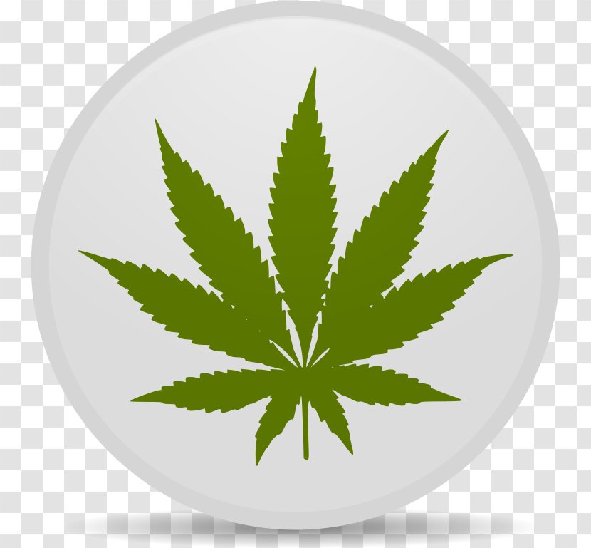 Hash, Marihuana & Hemp Museum Medical Cannabis Leaf Clip Art - Drug - Relax Transparent PNG