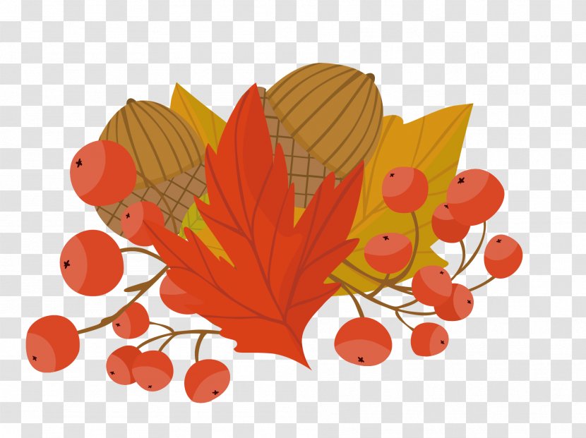 Autumn Illustration - Shutterstock - Vector Maple Leaf Transparent PNG
