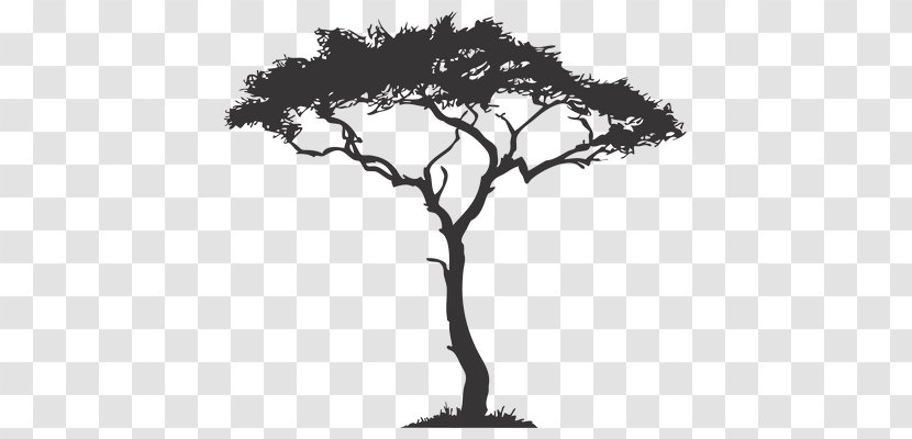 Africa Tree Drawing Decal - Baobab Transparent PNG