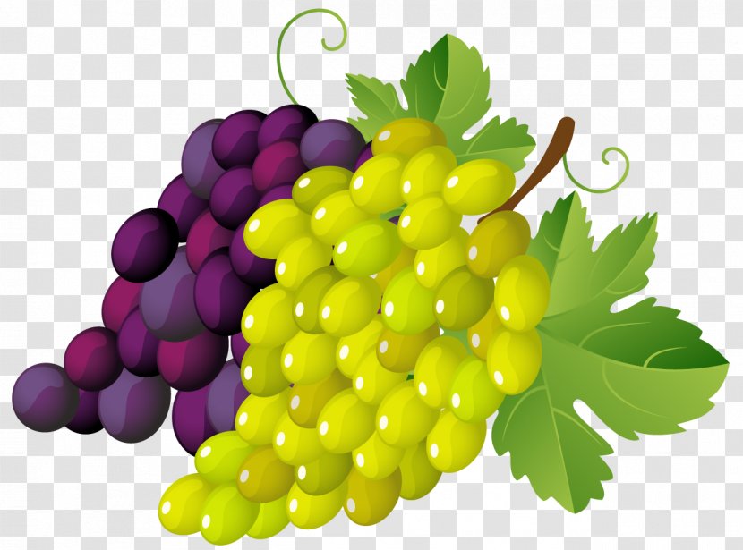 Wine Common Grape Vine Clip Art - Purple Grapes Cliparts Transparent PNG