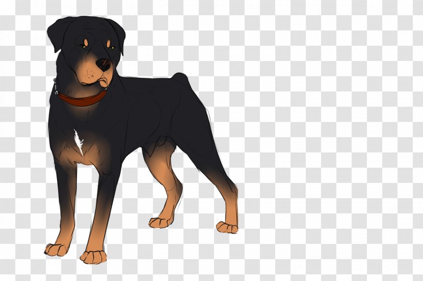 Dobermann Rottweiler Puppy Dog Breed German Pinscher - Guard Transparent PNG