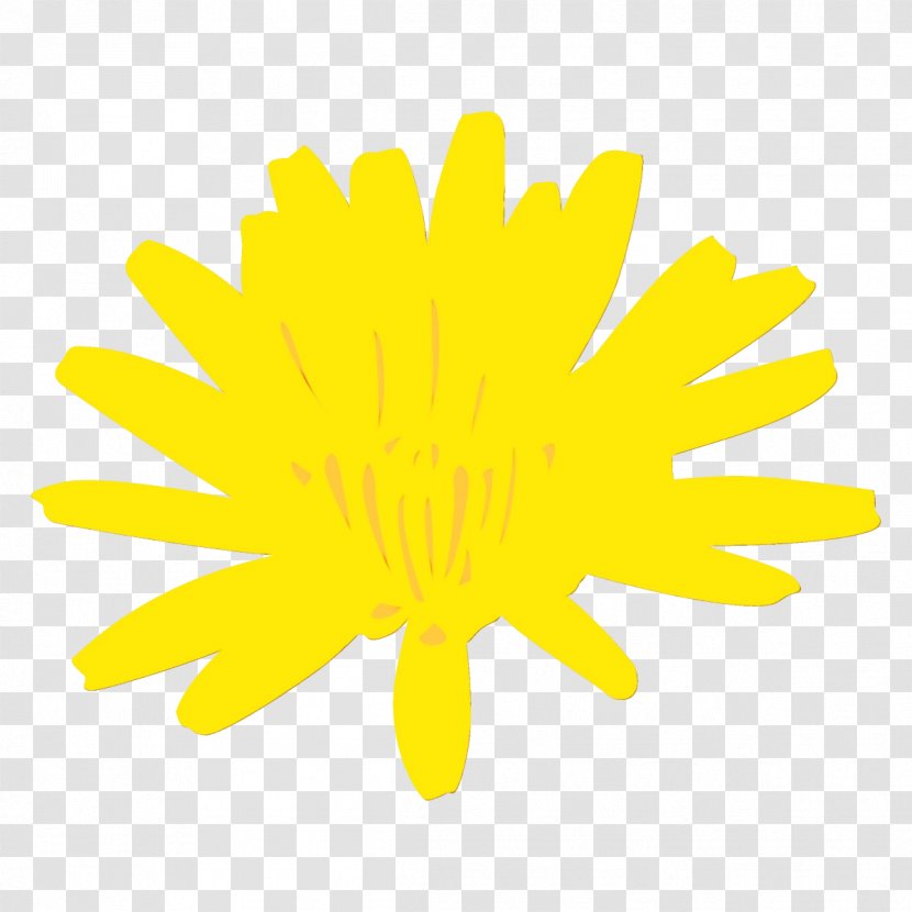 Sunflower - Pollen Transparent PNG