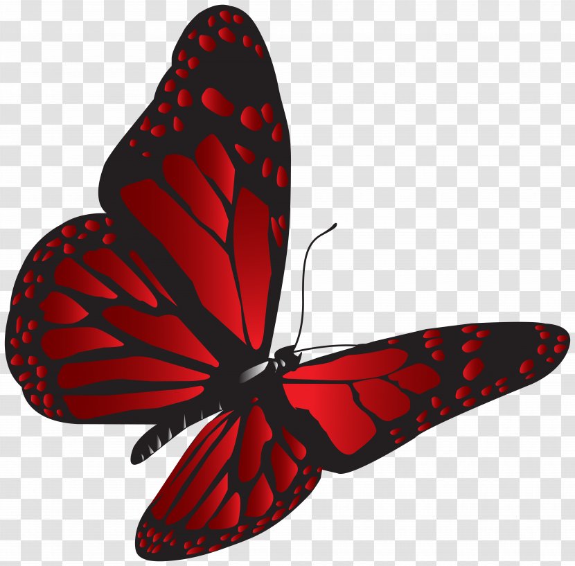 Image File Formats Lossless Compression - Pollinator - Red Butterfly Clip Art Transparent PNG
