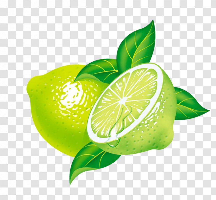 Key Lime Lemon Persian - Sweet - Green Transparent PNG