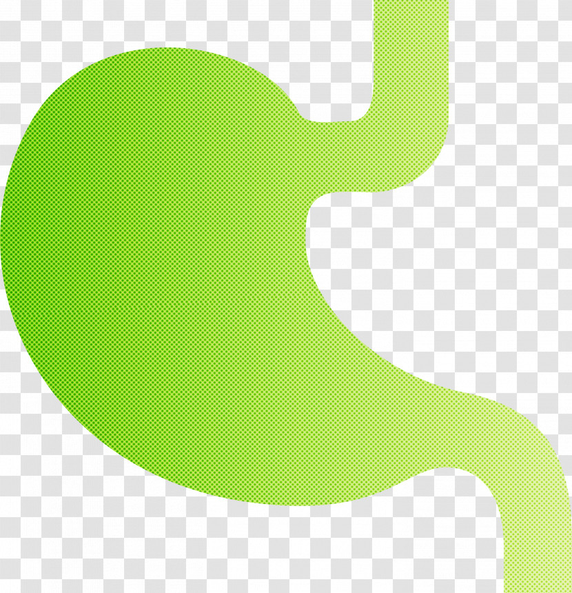 Stomach Organ Transparent PNG