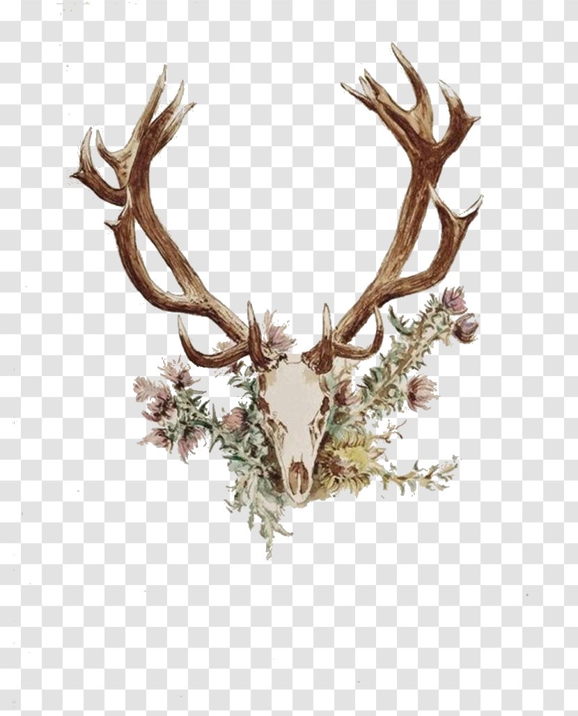 Deer Antler Flower Horn Tattoo - Wooden Angle Transparent PNG