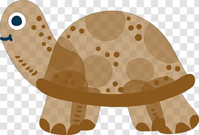 Turtle Transparent PNG