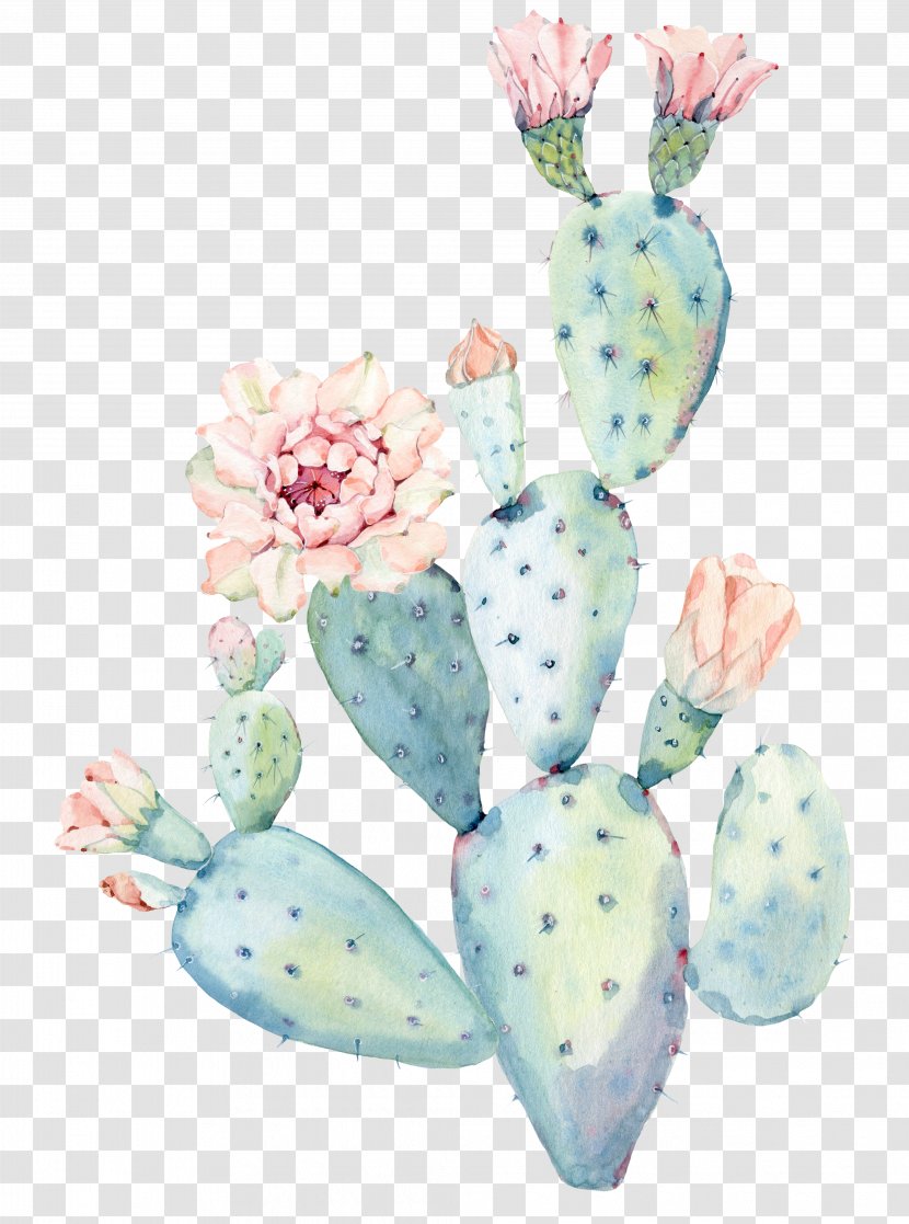 Cactaceae Watercolor Painting Saguaro - Cactus Transparent PNG