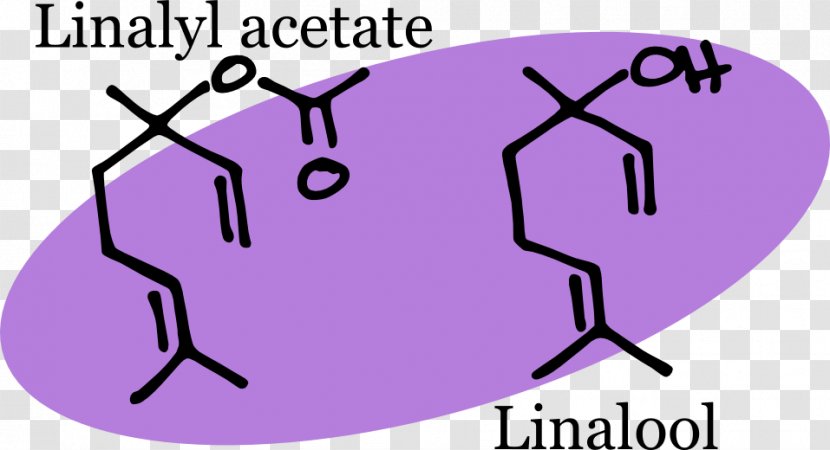 Lavender Oil Linalyl Acetate Chemical Compound Chemist - Tree - Alzheimer's Disease Transparent PNG