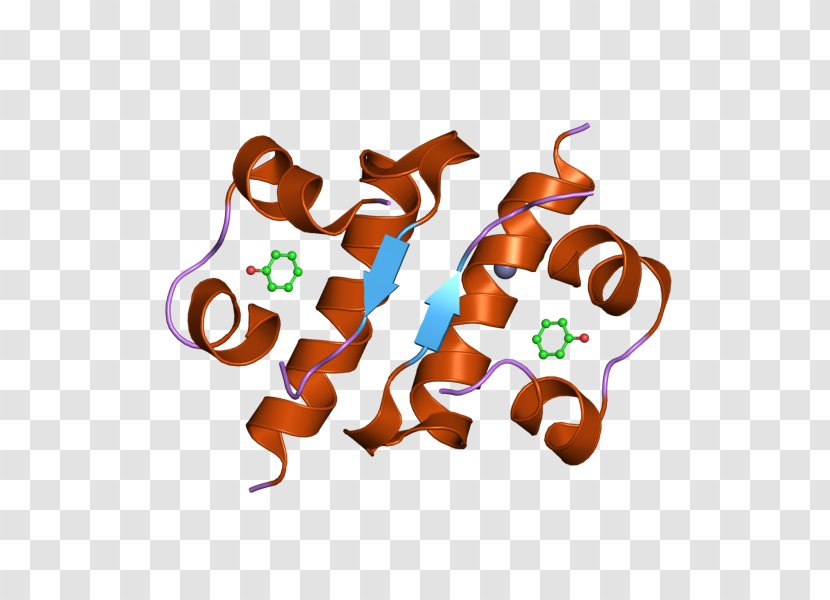 Insulin Crystal Structure Beta Cell - Flower - Heart Transparent PNG