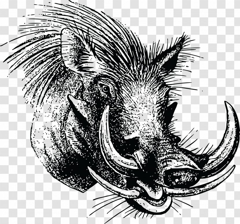 Wild Boar Common Warthog Clip Art - Horn Transparent PNG
