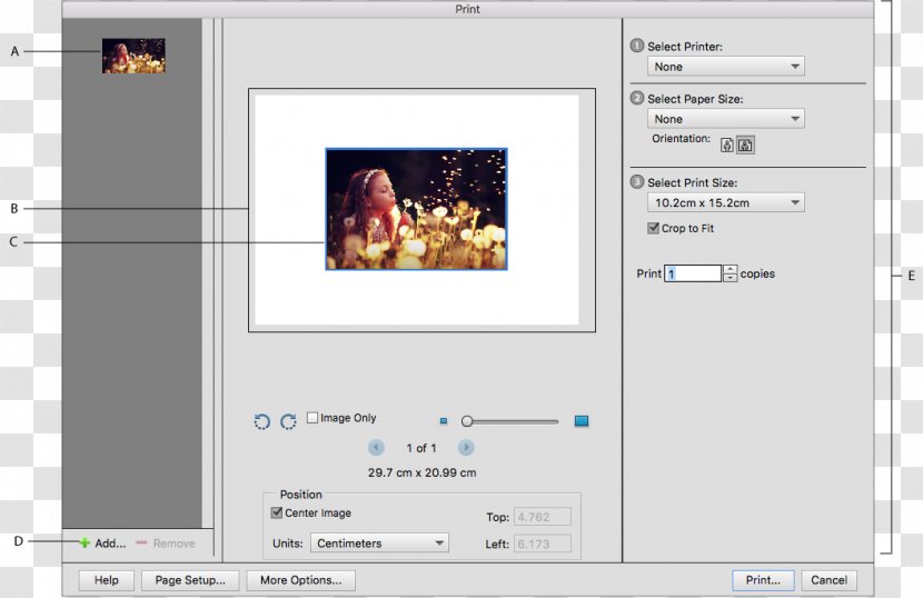 Computer Software Adobe Photoshop Elements Printer Printing Preview - Systems - Dialogue Box Transparent PNG