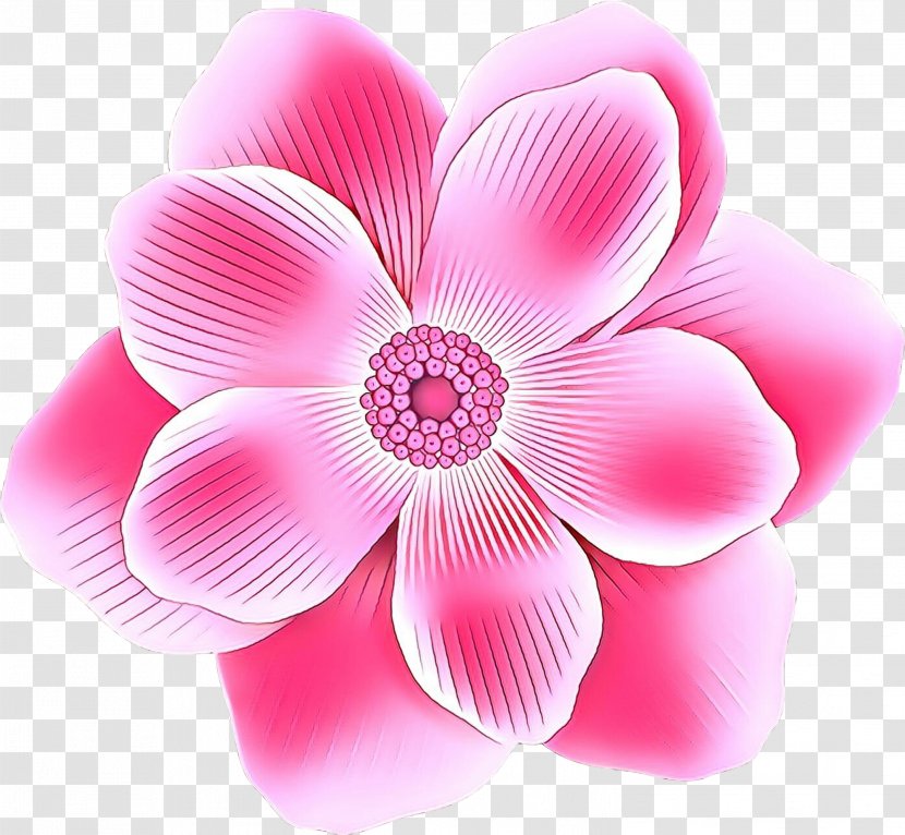 Pink Flower Cartoon - Rose Family - Perennial Plant Transparent PNG