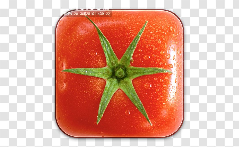 Cherry Tomato Food Vegetable Herb - Beverage Can Transparent PNG