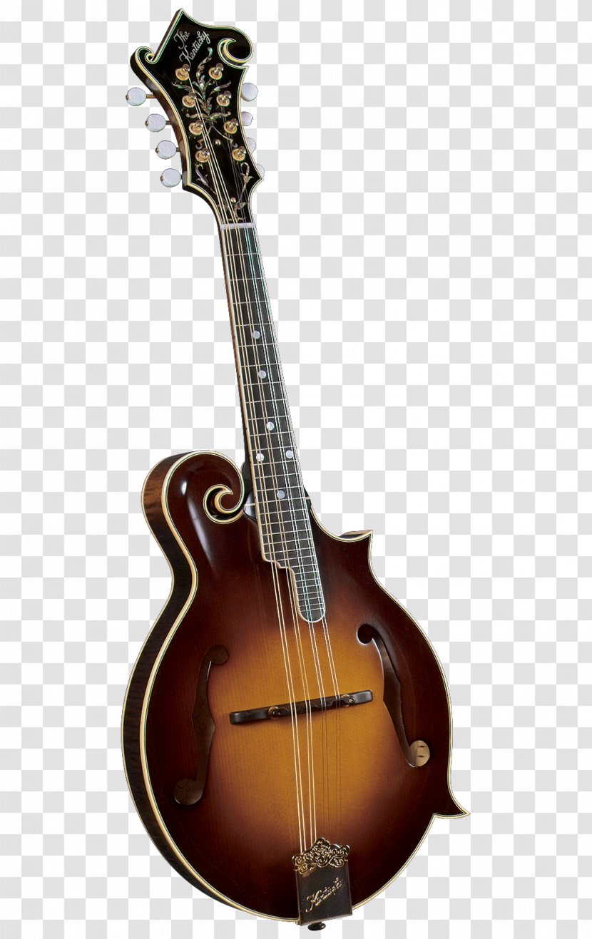 Amazon.com Mandolin Musical Instruments Bluegrass F-lyuk - Heart Transparent PNG