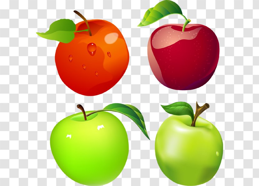 Apple Royalty-free Clip Art - Fruit - Picking Transparent PNG