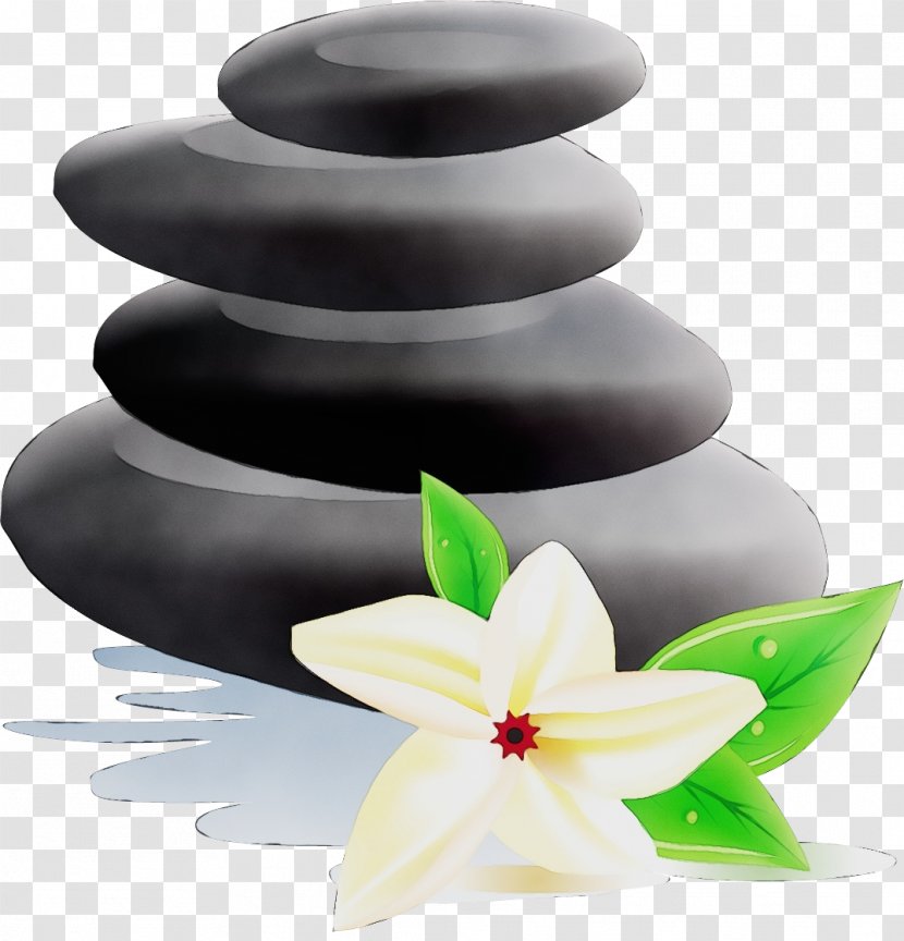 Watercolor Flower Background - Royaltyfree - Zen Transparent PNG