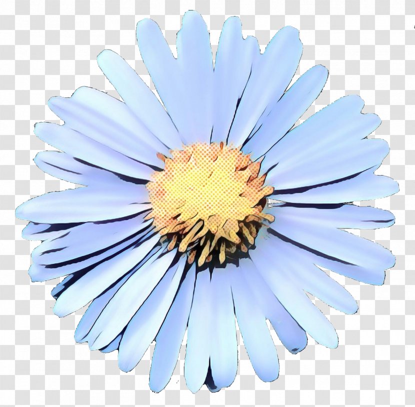 Common Daisy Chrysanthemum Flower Oxeye - Family - Yellow Transparent PNG