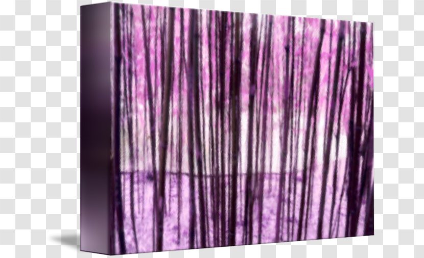 Wood Purple /m/083vt - Retro Grove Transparent PNG