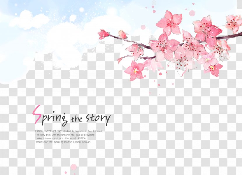 Flower Cherry Blossom - Sky - Floral Background Transparent PNG