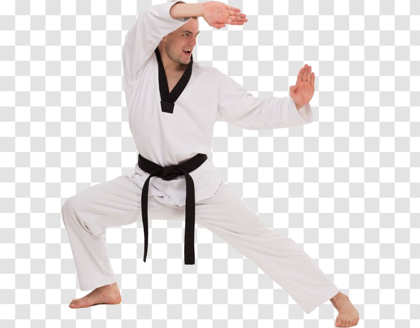 Stock Photography Royalty-free Martial Arts - Mat - Mixed Artist Transparent PNG