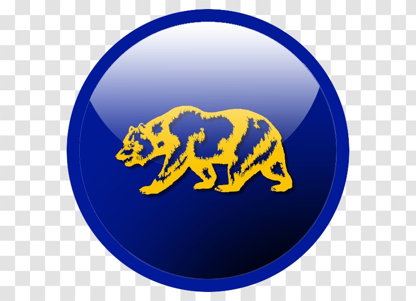 California Performance Test Workbook: Preparation For The Bar Exam Examination Grizzly Bear - Now We Are Six Transparent PNG