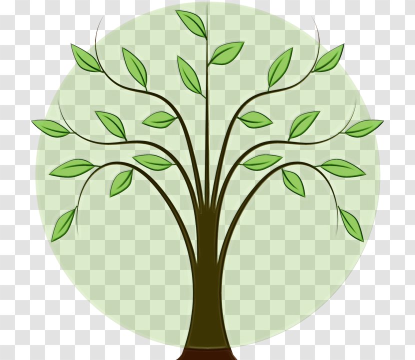 Leaf Green Tree Clip Art Plant - Stem - Flower Transparent PNG