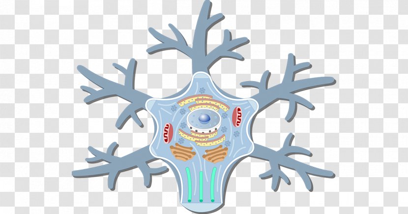 Motor Neuron Soma Cell Neurofilament - Flower - Cartoon Transparent PNG