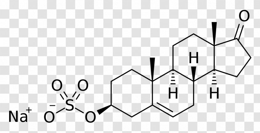 The Great Testosterone Myth Pregnenolone Sarsasapogenin Structure Dehydroepiandrosterone - Watercolor - Sodium Sulfate Transparent PNG