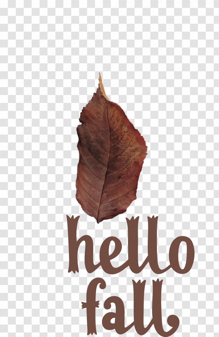 Hello Fall Fall Autumn Transparent PNG