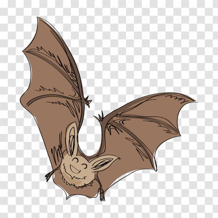 Bat Drawing Sketch - Cartoon - Bats Transparent PNG