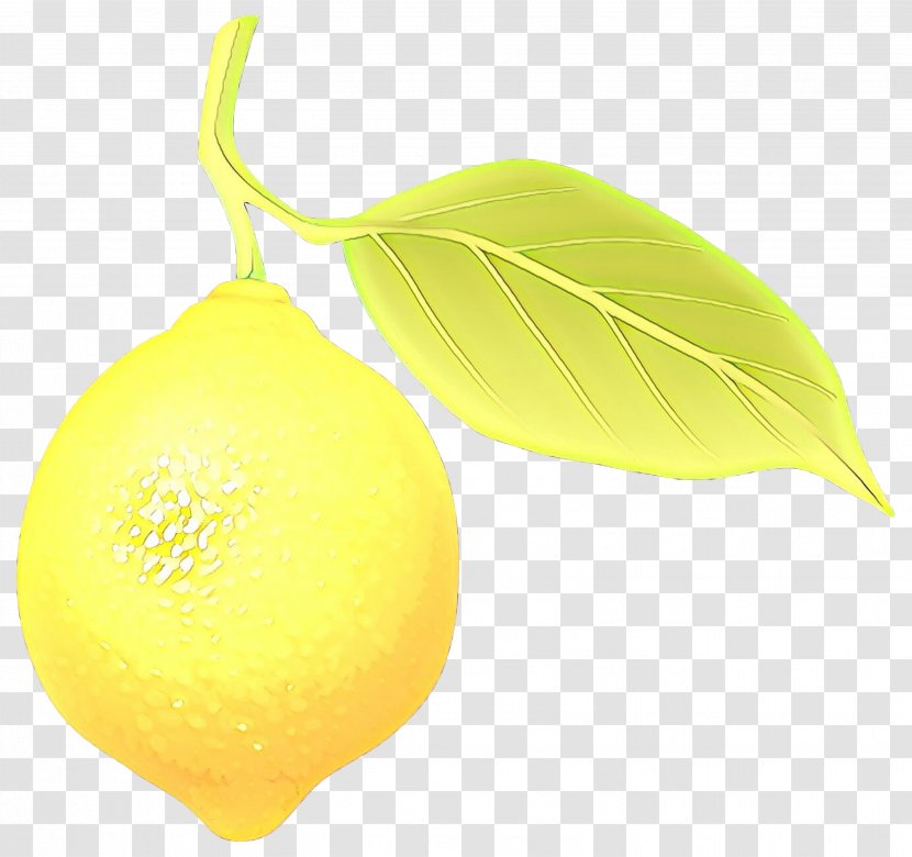 Lemon Citron Citric Acid Citrus - Food Transparent PNG