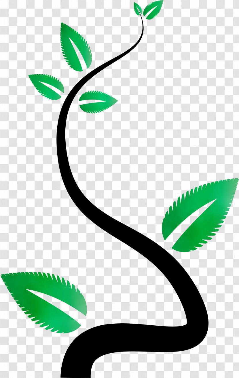 Plant Stem Leaf Green Line Area Transparent PNG