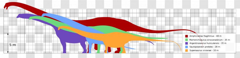 Dinosaur Size Argentinosaurus Supersaurus Sauroposeidon Mamenchisaurus - Watercolor Transparent PNG
