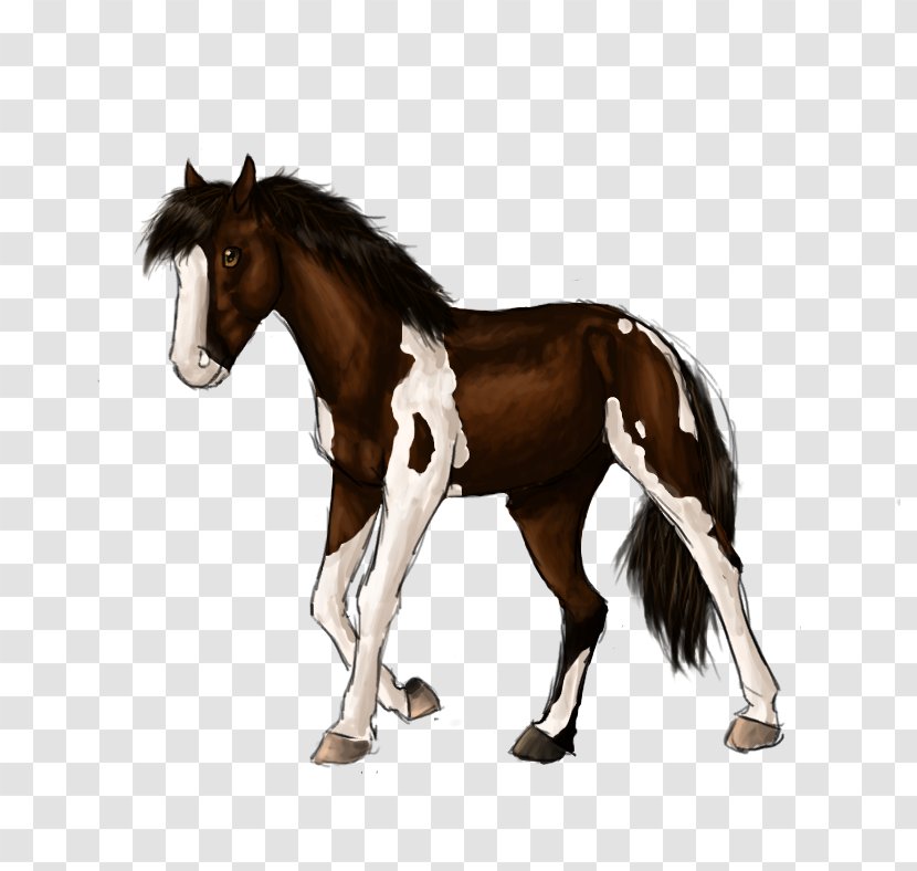 Clydesdale Horse Friesian Appaloosa Stallion Schleich - Foal - Old Barn Auction Transparent PNG
