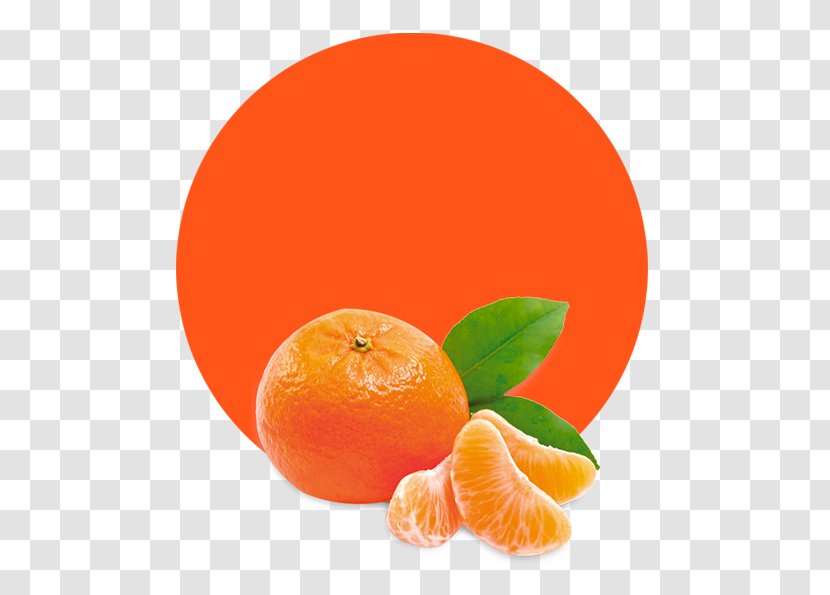 Mandarin Orange Tangerine Juice Marmalade - Tangelo Transparent PNG