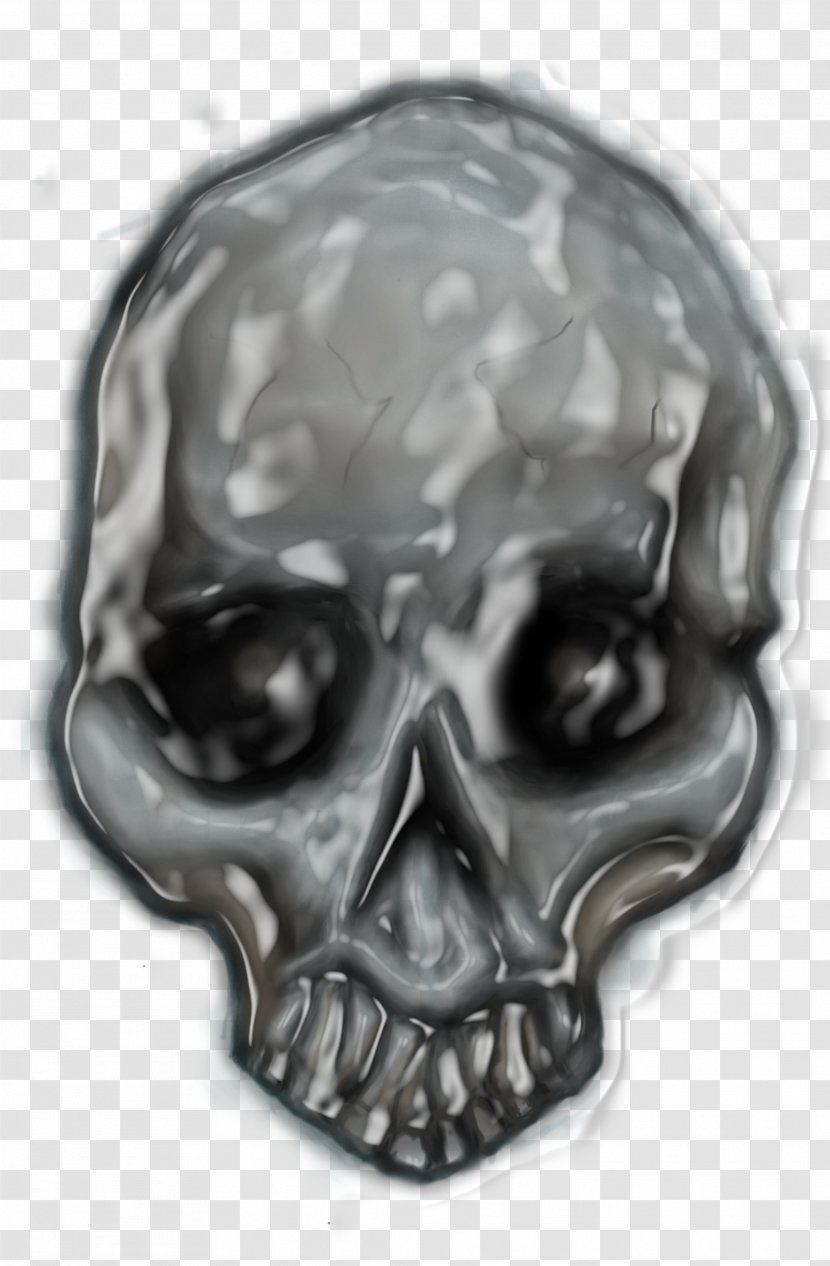 Skull Bone Jaw Transparent PNG