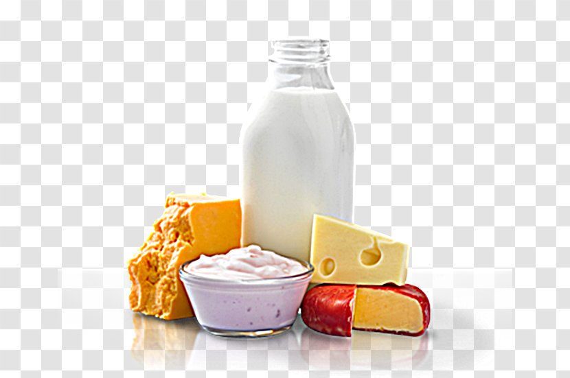Milk Cream Dairy Products Food - Greek Yogurt Transparent PNG