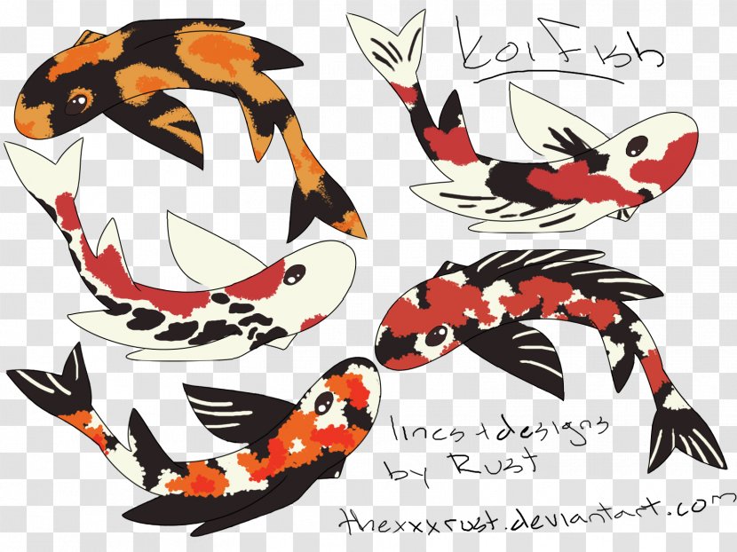 Butterfly Koi Drawing Animal Transparent PNG