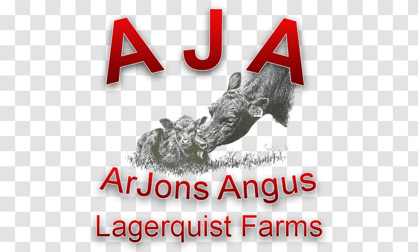 Angus Cattle Calf Logo Font Brand - Farms Transparent PNG