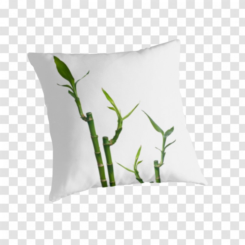 Throw Pillows Plant - Bamboo Kind Transparent PNG