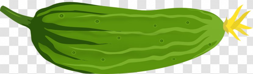 Cucumber Clip Art Vector Graphics JPEG - Greens Transparent PNG